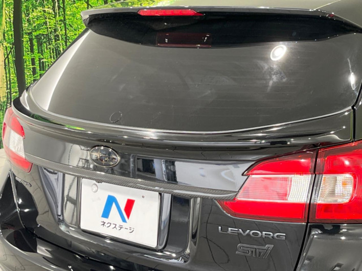 2016 Subaru Levorg DBA-VM4 (UW-6a1904fe9bb3c)[20]