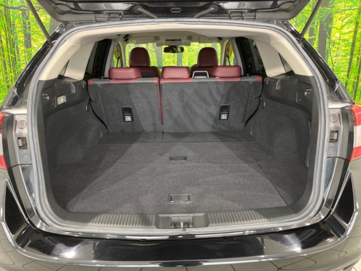2016 Subaru Levorg DBA-VM4 (UW-6a1904fe9bb3c)[16]