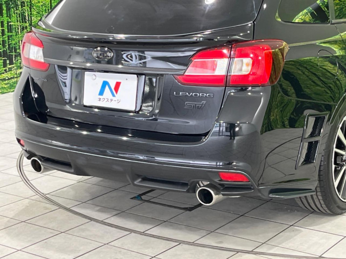 2016 Subaru Levorg DBA-VM4 (UW-6a1904fe9bb3c)[21]