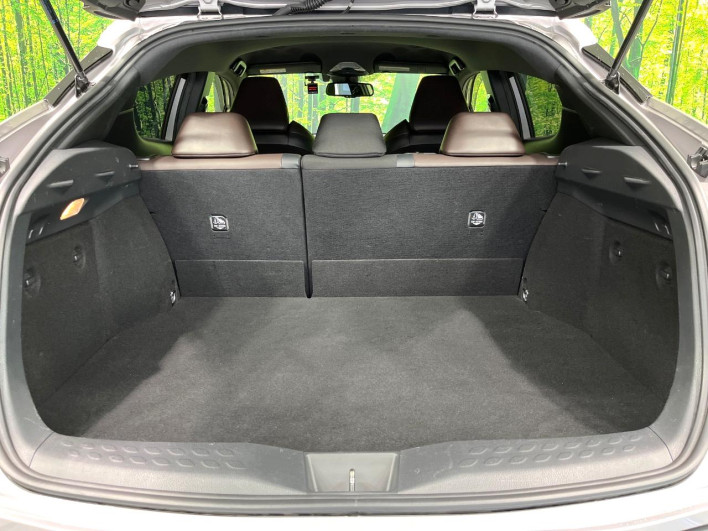 2018 Toyota C-HR DAA-ZYX10 (UW-6a190559c76e1)[29]