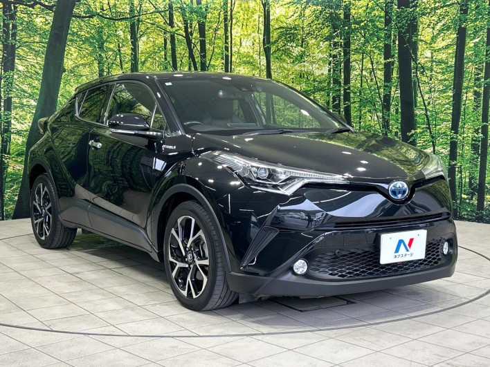 2018 Toyota C-HR DAA-ZYX10 (UW-6a190559e2996)[25]