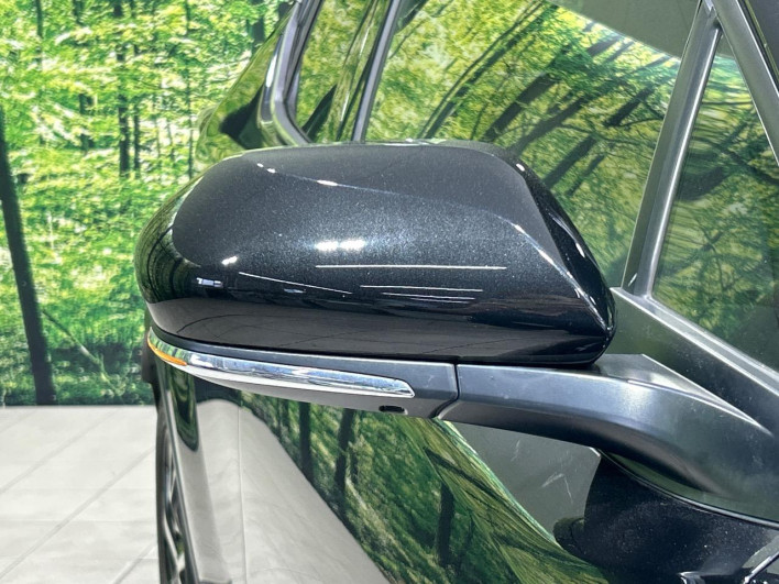 2018 Toyota C-HR DAA-ZYX10 (UW-6a190559e2996)[21]
