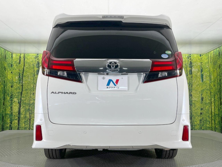 2017 Toyota Alphard DBA-AGH30W (UW-6a1a541c542d3)[18]