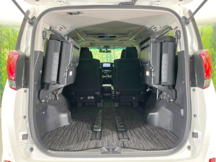 2017 Toyota Alphard DBA-AGH30W (UW-6a1a541c542d3)[29]