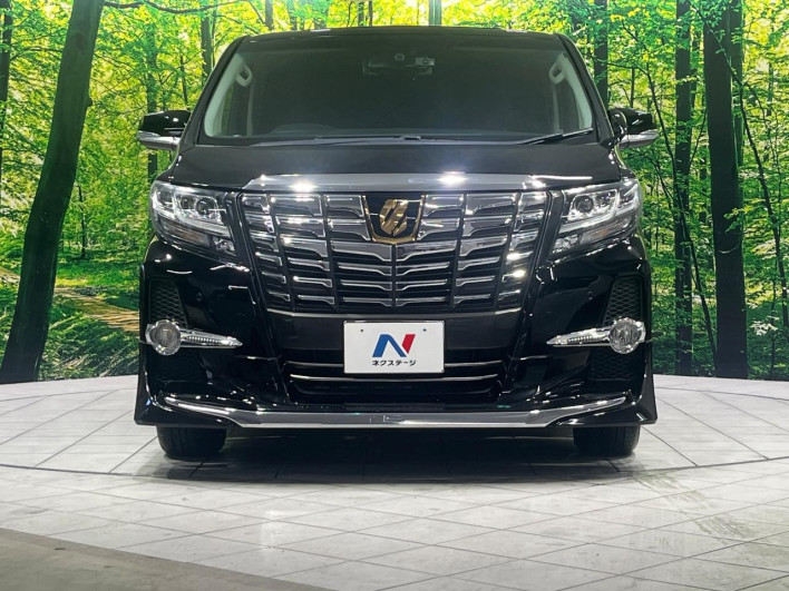 2016 Toyota Alphard Hybrid DAA-AYH30W (UW-6a1a543dc340c)[24]