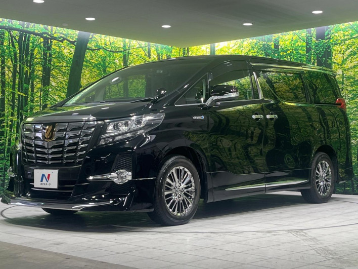 2016 Toyota Alphard Hybrid DAA-AYH30W (UW-6a1a543dc340c)[14]