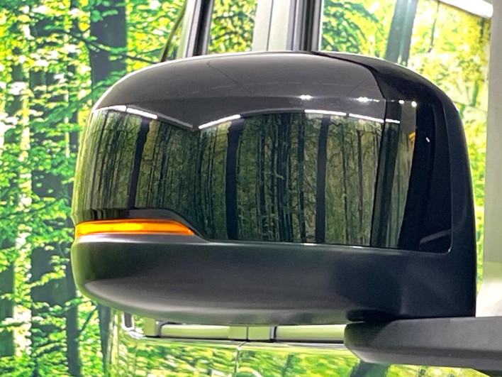 2025 Honda N-BOX 6BA-JF5 (UW-6a1a54e9dcc42)[12]