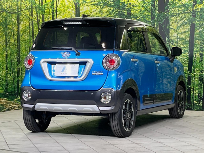 2017 Daihatsu Cast DBA-LA250S (UW-6a1a5517ec2aa)[5]