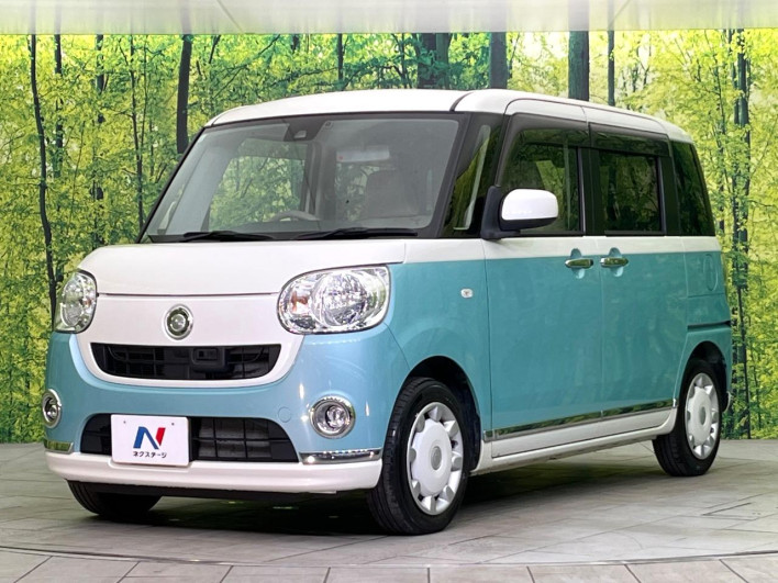 2017 Daihatsu Move Canbus DBA-LA810S (UW-6a1a553304972)[11]