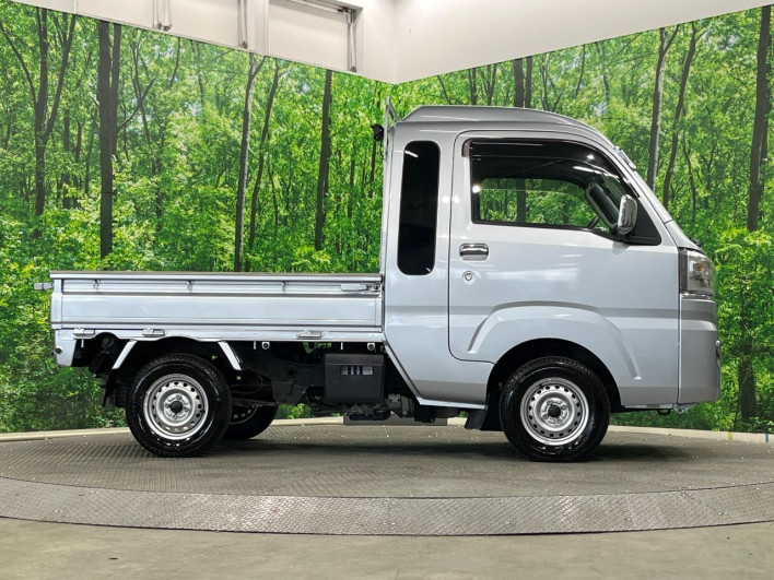 2018 Daihatsu Hiace Truck EBD-S510P (UW-6a1a55d726299)[20]