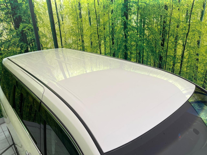 2014 Nissan Elgrand DBA-TE52 (UW-6a1a55e5483cd)[10]