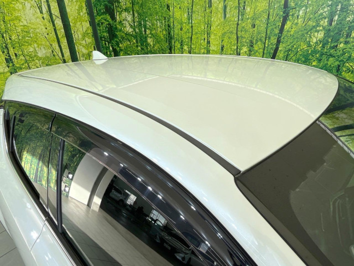 2018 Toyota C-HR DAA-ZYX10 (UW-6a1a564488d22)[12]