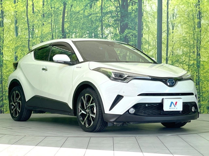2018 Toyota C-HR DAA-ZYX10 (UW-6a1a564488d22)[6]