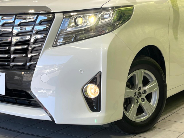 2017 Toyota Alphard DBA-AGH30W (UW-6a1ba58148844)[10]