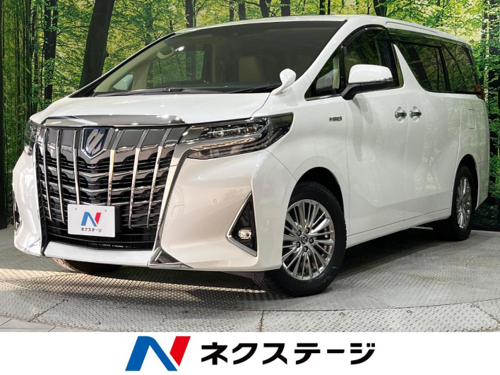 2019 Toyota Alphard Hybrid DAA-AYH30W (UW-6a1ba59f78ad5)[3]