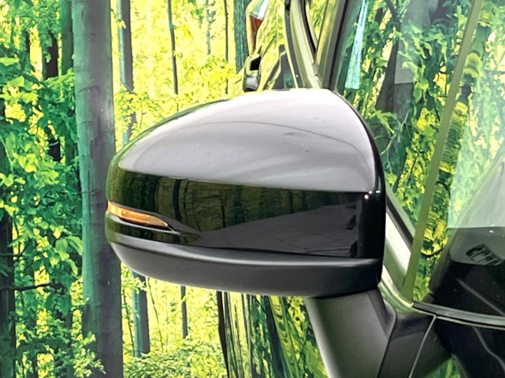 2017 Honda SHUTTLE DAA-GP8 (UW-6a1ba6046759f)[5]