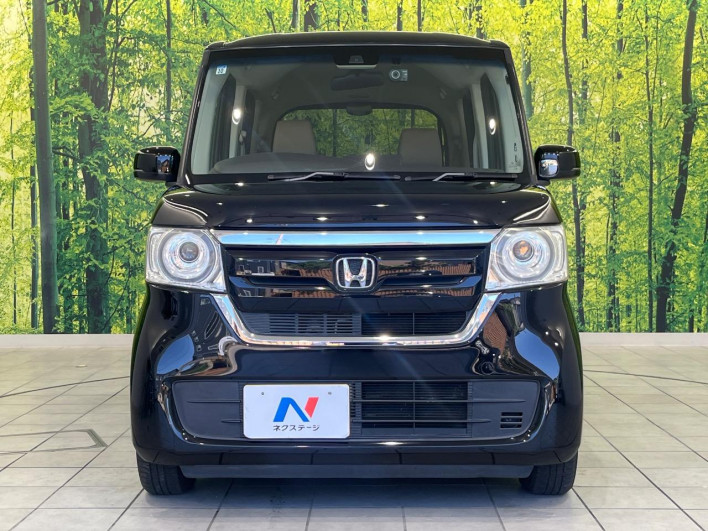 2017 Honda N-BOX DBA-JF3 (UW-6a1ba63a37d16)[10]