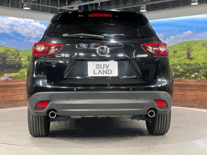 2016 Mazda CX-5 LDA-KE2FW (UW-6a1ba661a3a6d)[22]