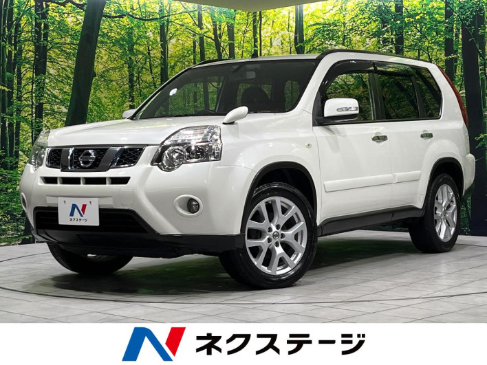2013 Nissan X-Trail DBA-NT31 (UW-6a1ba727759d4)[3]