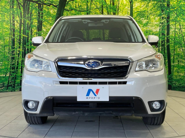 2013 Subaru Forester DBA-SJ5 (UW-6a1ba7442f6e7)[7]