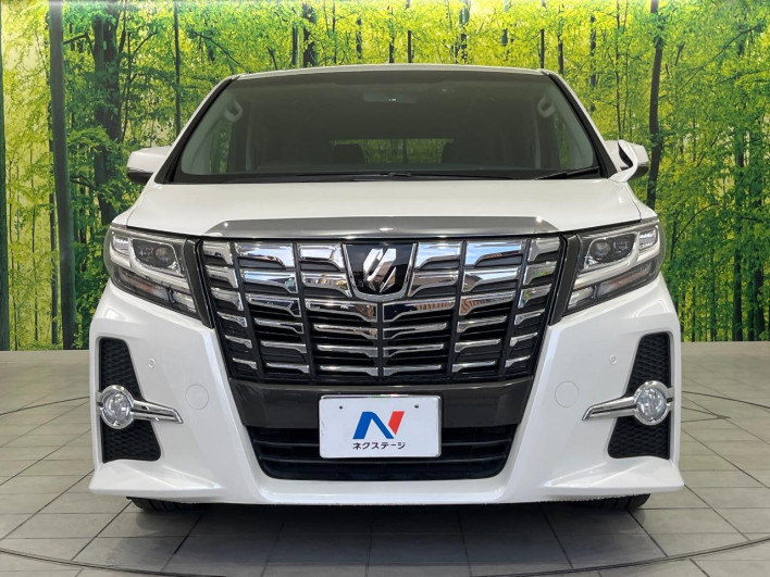 2017 Toyota Alphard DBA-AGH30W (UW-6a1e488903849)[10]