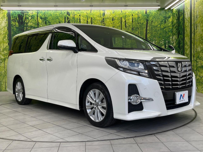 2017 Toyota Alphard DBA-AGH30W (UW-6a1e488903849)[11]