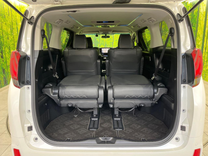 2017 Toyota Alphard DBA-AGH30W (UW-6a1e488903849)[15]