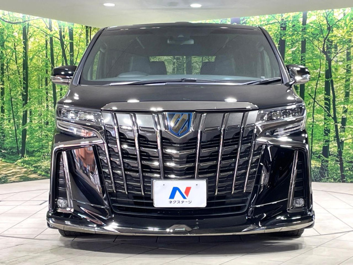 2021 Toyota Alphard Hybrid 6AA-AYH30W (UW-6a1e48ae42262)[15]