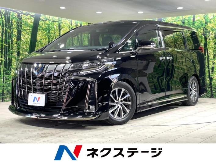 2021 Toyota Alphard Hybrid 6AA-AYH30W (UW-6a1e48ae42262)[3]
