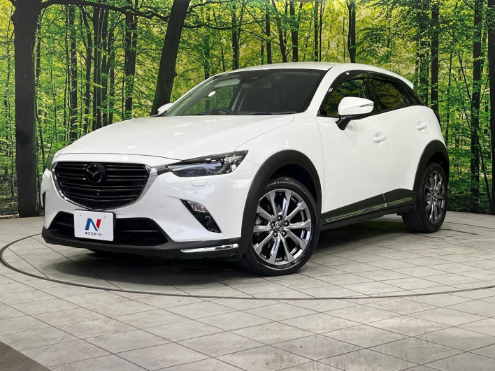 2018 Mazda CX-3 3DA-DK8AW (UW-6a1e48dc63705)[0]