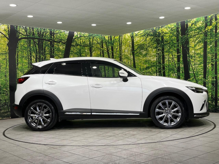 2018 Mazda CX-3 3DA-DK8AW (UW-6a1e48dc63705)[23]