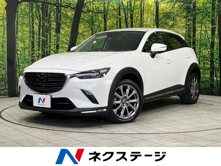 2018 Mazda CX-3 3DA-DK8AW (UW-6a1e48dc63705)[3]