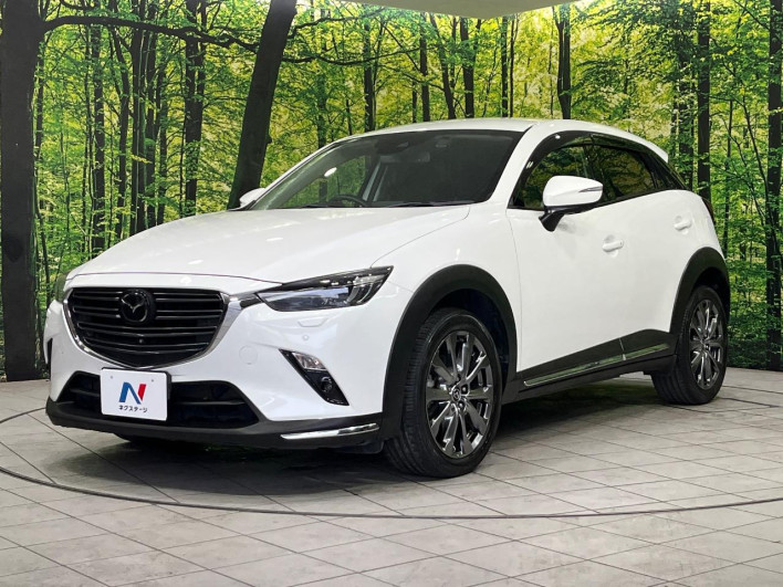2018 Mazda CX-3 3DA-DK8AW (UW-6a1e48dc63705)[20]