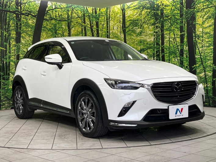 2018 Mazda CX-3 3DA-DK8AW (UW-6a1e48dc63705)[22]