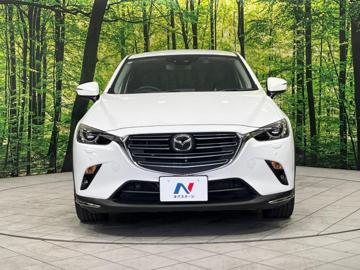 2018 Mazda CX-3 3DA-DK8AW (UW-6a1e48dc63705)[21]