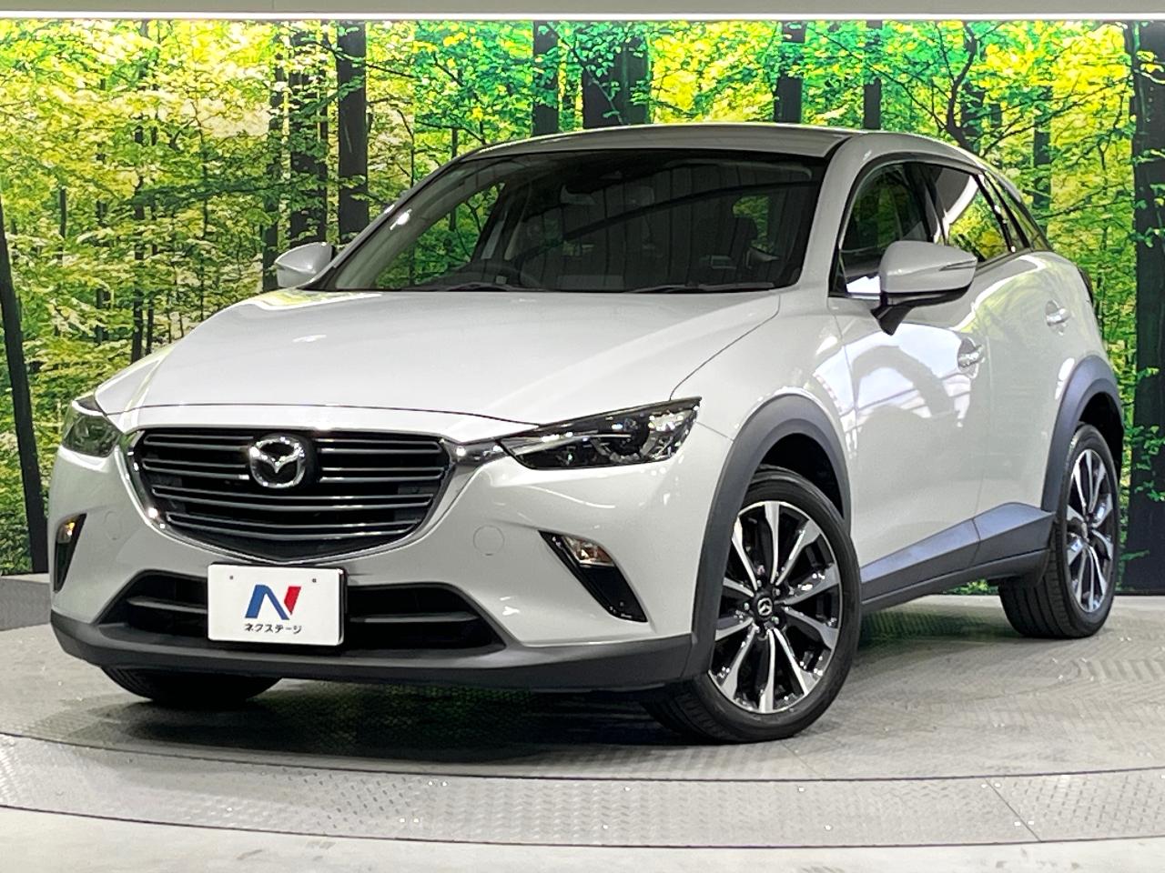 2019 Mazda CX-3 6BA-DKEFW