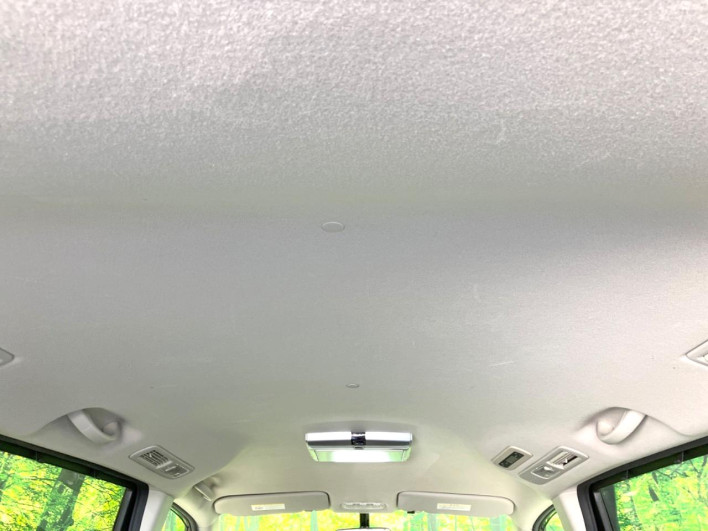 2012 Nissan Serena DBA-FC26 (UW-6a1e48e5704d8)[9]