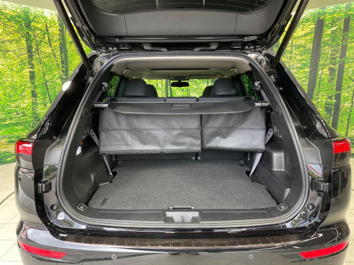 2022 Mitsubishi OUTLANDER PHEV 5LA-GN0W (UW-6a1e48ff156ad)[18]