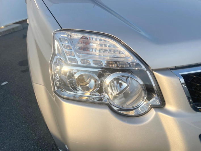 2013 Nissan X-Trail DBA-NT31 (UW-6a1e4a1d2fd39)[5]