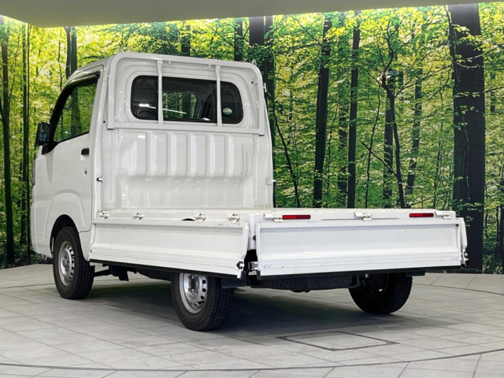 2018 Daihatsu Hiace Truck EBD-S510P (UW-6a1e4a3e4570b)[21]