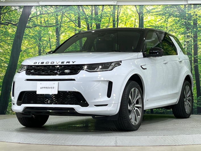 2021 Land Rover Discovery Sport 5BA-LC2XC (UW-6a1e4a424beb3)[20]