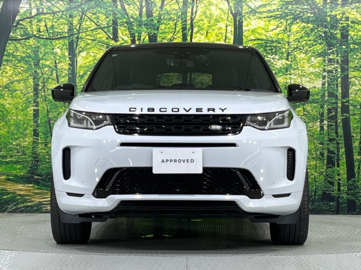 2021 Land Rover Discovery Sport 5BA-LC2XC (UW-6a1e4a424beb3)[21]
