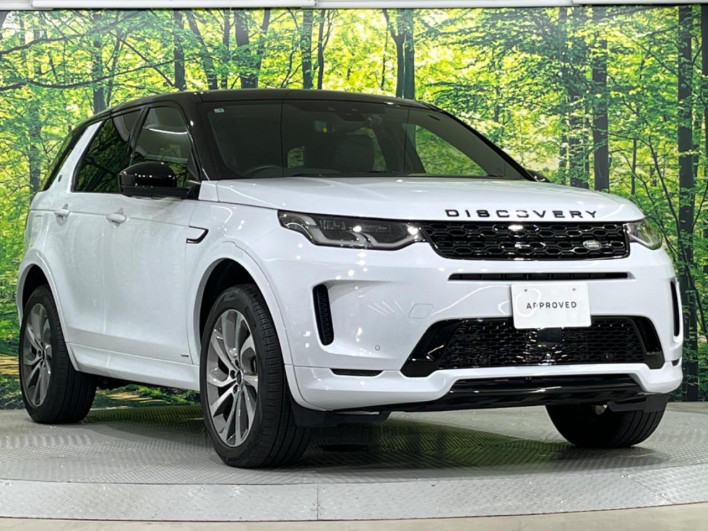 2021 Land Rover Discovery Sport 5BA-LC2XC (UW-6a1e4a424beb3)[14]