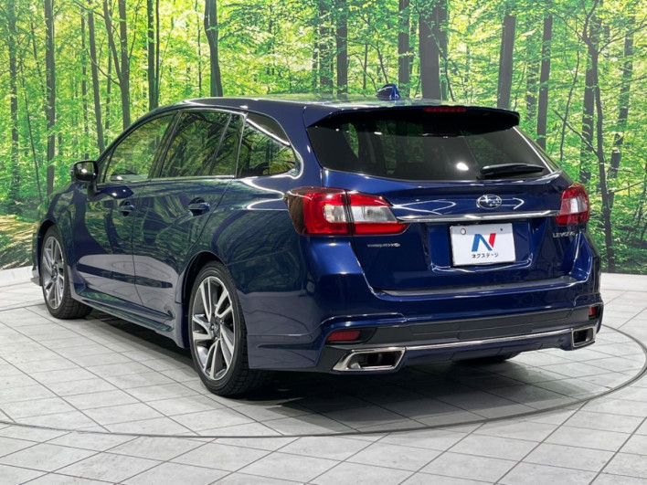 2015 Subaru Levorg DBA-VM4 (UW-6a1e4a5914102)[10]