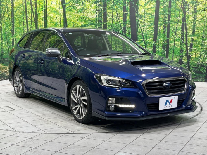 2015 Subaru Levorg DBA-VM4 (UW-6a1e4a5914102)[6]