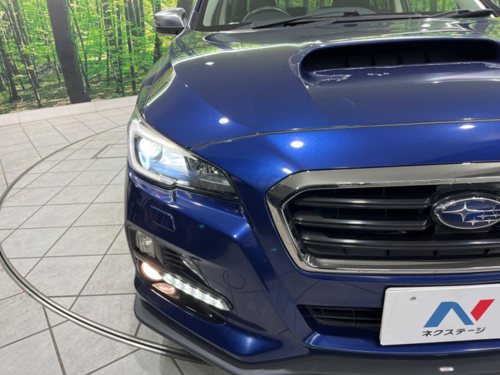 2015 Subaru Levorg DBA-VM4 (UW-6a1e4a5914102)[26]