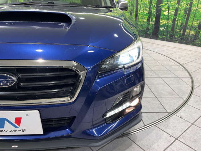 2015 Subaru Levorg DBA-VM4 (UW-6a1e4a5914102)[25]