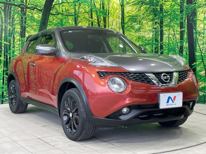 2017 Nissan JUKE DBA-YF15 (UW-6a1e4a6ca2a59)[8]