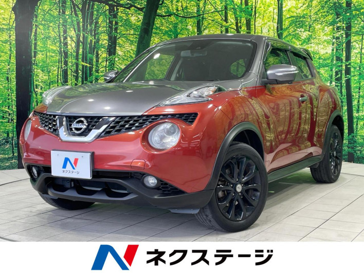 2017 Nissan JUKE DBA-YF15 (UW-6a1e4a6ca2a59)[3]