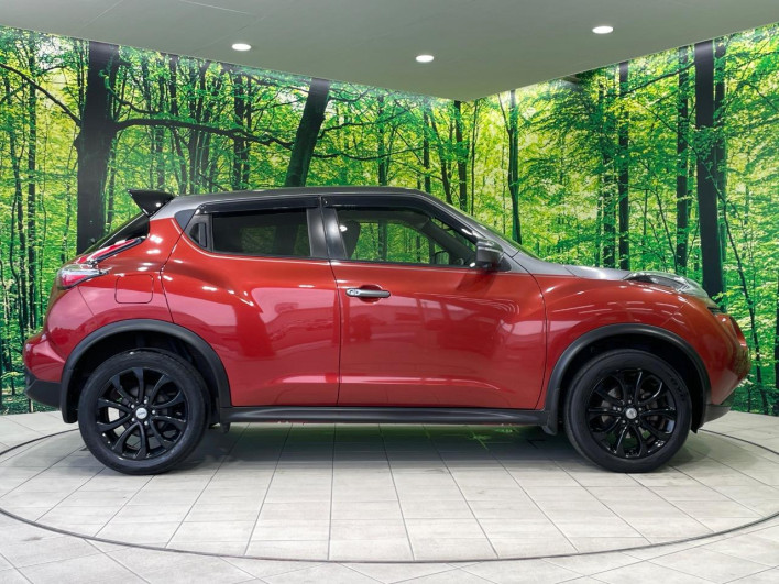 2017 Nissan JUKE DBA-YF15 (UW-6a1e4a6ca2a59)[9]